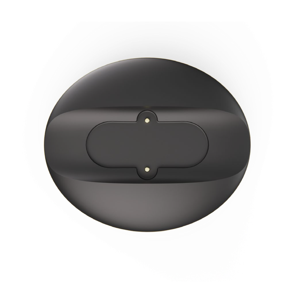 Charger for BioSense - No cable